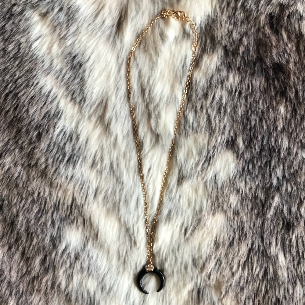 Horn Necklace